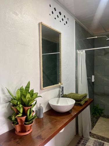 a bathroom with a sink and a mirror at Corcovado House With AC in Puerto Jiménez