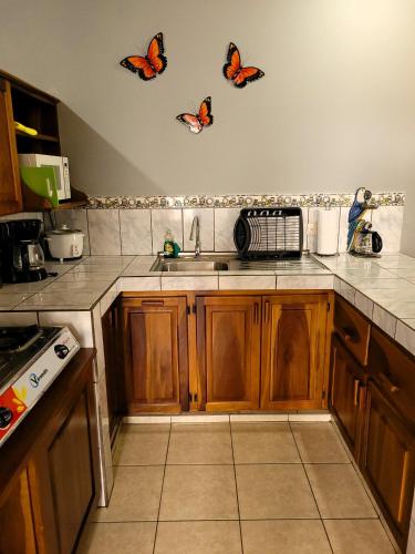 a kitchen with butterflies on the wall above a sink at Butterfly Apartments in Fortuna