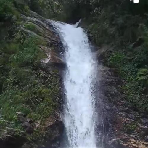 a waterfall in the middle of a forest at Krishan Home Stay in Gushaini