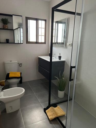 a bathroom with a toilet and a sink and mirror at Coastine Granada - Casa con vistas al mar en Castell de Ferro in Castell de Ferro