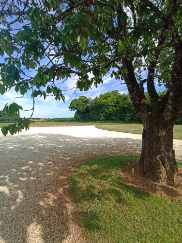 a tree sitting on the side of a road at Au Petit Bonheur de Lorigné in Lorigné