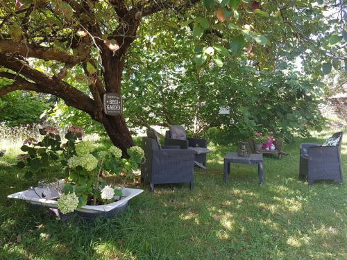 a group of chairs sitting under a tree at La Petite Maison du Gardien in Sainte-Agnès