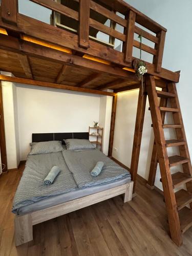 Central Apartment