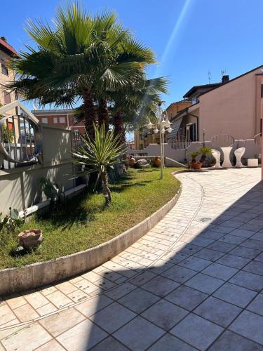 a street with a palm tree and a sidewalk at B&B Villa Pina in Colleferro