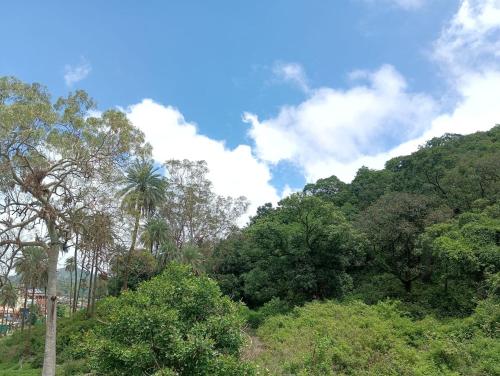 a forest of trees and palm trees on a hill at Palms View Villa in Mount Ābu