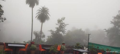 a foggy garden with palm trees and a table and chairs at Palms View Villa in Mount Ābu