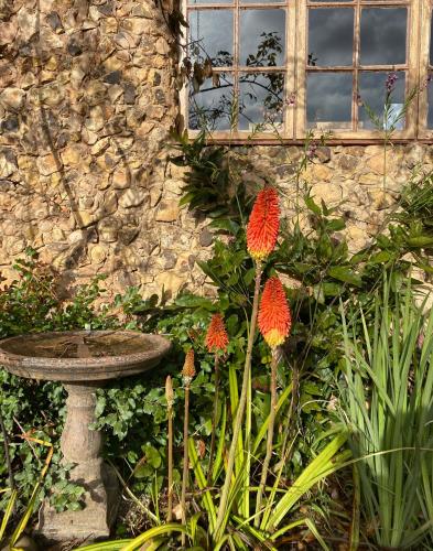 a bird bath and flowers in front of a stone building at Sani Lodge & Cottages in Sani Pass