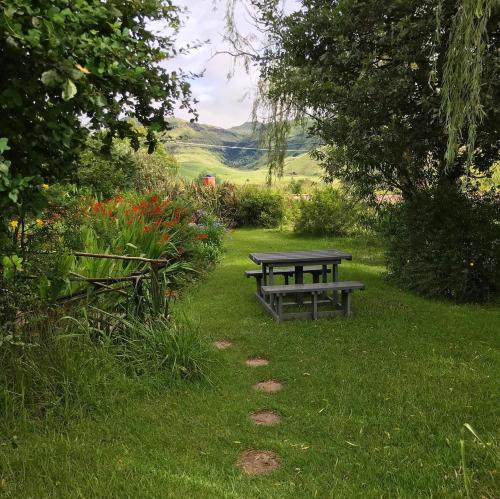 a picnic table and a bench in the grass at Sani Lodge & Cottages in Sani Pass