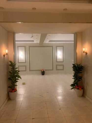 a large room with two potted plants and a white screen at Garden City Hotel Nile Palace in Cairo