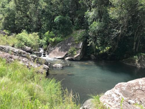 a stream of water with rocks in a forest at Sani Lodge & Cottages in Sani Pass