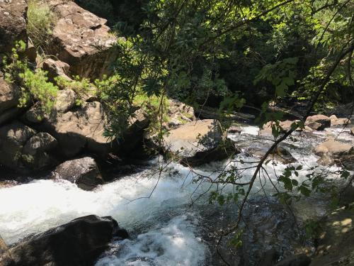 a stream of water with rocks and trees at Sani Lodge & Cottages in Sani Pass