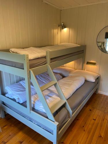 two bunk beds in a small room with wood floors at Fjellheim in Tyinkrysset