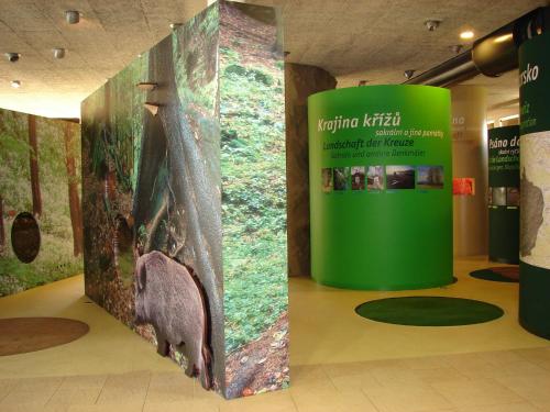 a wall with a picture of a bear on it at Apartmán - Dům Českého Švýcarska in Krásná Lípa