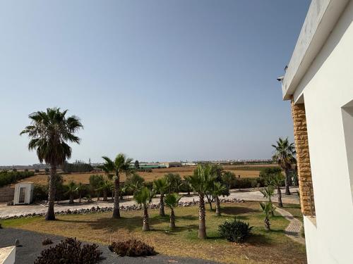 a view of palm trees from a building at Asmae House in Skhirat