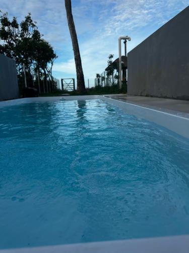 a swimming pool filled with blue water next to a tree at Home Beach Peroba, Maragogi,alagoas in Maragogi
