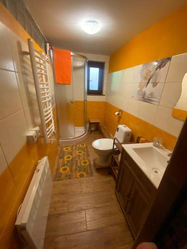 a bathroom with a shower and a toilet and a sink at Chata Safran in Donovaly
