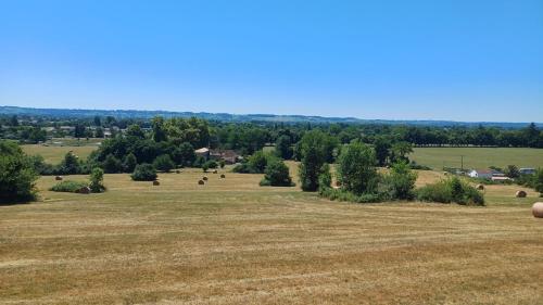een open veld met in de verte grazende dieren bij Grande Périgourdine, très grand jardin au calme in Bergerac