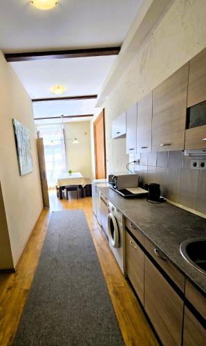 a kitchen with a sink and a dishwasher in it at Mediterrán Vendégház in Kecskemét