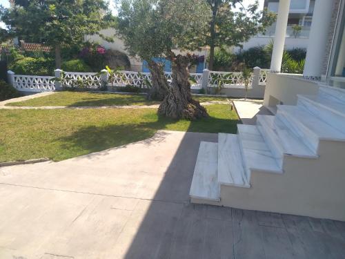 Tico