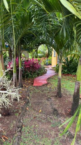 a path through a garden with palm trees and flowers at Jacoway Inn in Calibishie