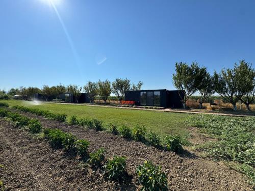 Te Vreshti - Container Home