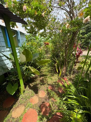 a garden with flowers and plants in front of a house at Jacoway Inn in Calibishie