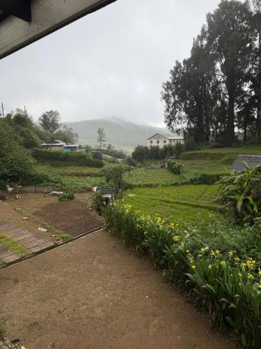a garden with yellow flowers in a field at Lavender Villas Nuwara Eliya in Nuwara Eliya