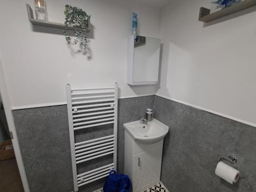 a small bathroom with a sink and a toilet at Robin's nest in Wilbarston