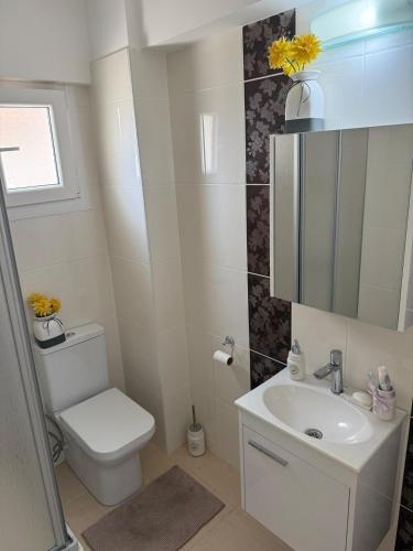 a bathroom with a white toilet and a sink at Two Bedrooms LongBeach SeaView Escape in Paralimni