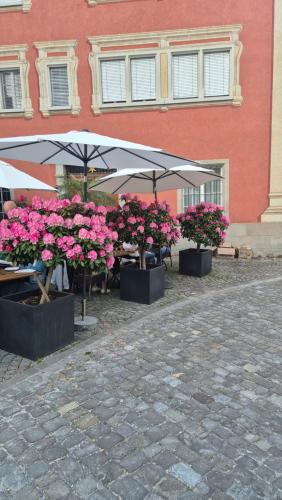 a group of tables with pink flowers and an umbrella at Cruise durch das Herz der Altstadt in Rapperswil-Jona