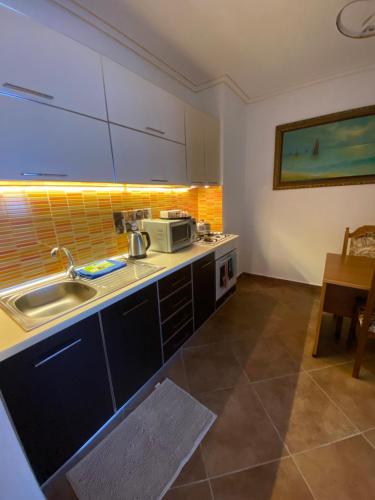 シェンジンにあるAlbi Apartmet beachfront in Shengjinのシンクと電子レンジ付きのキッチン