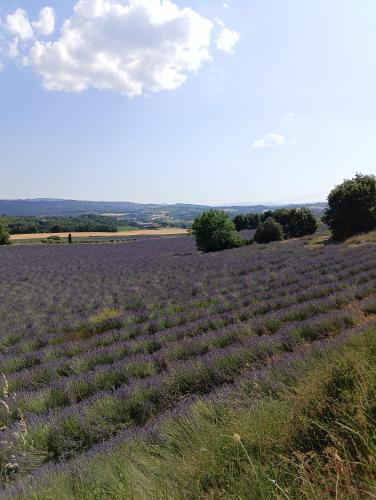 Photo de la galerie de l'établissement La petite grande, à Lurs