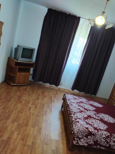 OrţăştiにあるCasa Manuのギャラリーの写真