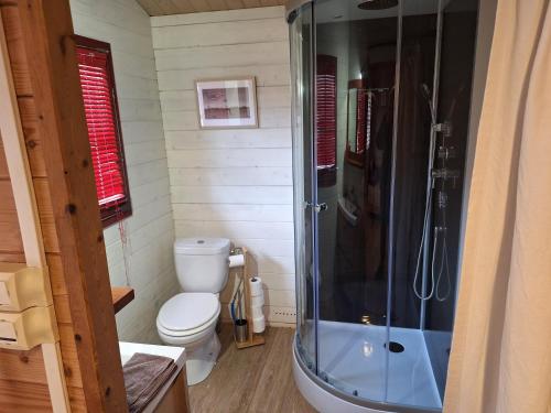 a bathroom with a toilet and a glass shower at Le Repaire de Mitzerlé in Mitzach