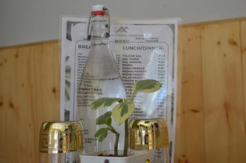 a plant in a bottle next to two lights at Nature Heaven Homestay in Mashobra