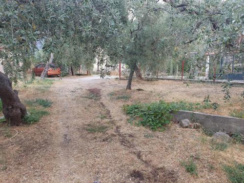 a dirt road with a tree and a car at MariGold Villa in Prinos