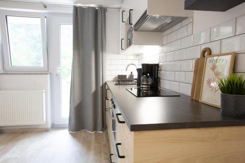 Η κουζίνα ή μικρή κουζίνα στο Apartments Korošec