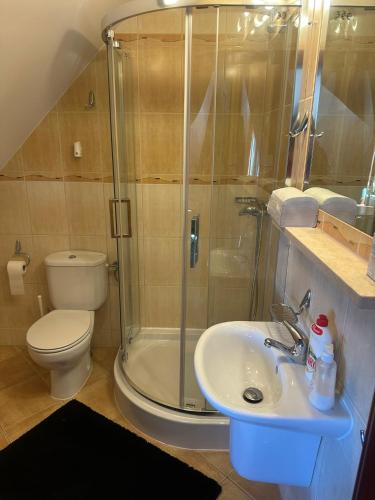 a bathroom with a shower and a sink and a toilet at Ośrodek Wypoczynkowy Przystań Energii in Nadole