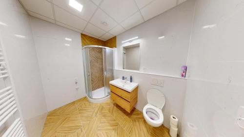 a bathroom with a toilet and a sink and a shower at Apartments Štěpánská Brno-centre in Brno