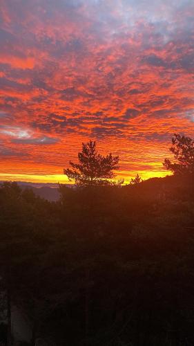 a sunset over a field with trees in the foreground at La Torre d' Espinalbet in Castellar del Riu