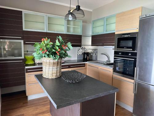 a kitchen with a counter with a plant on it at Eleny Apartments in Perea