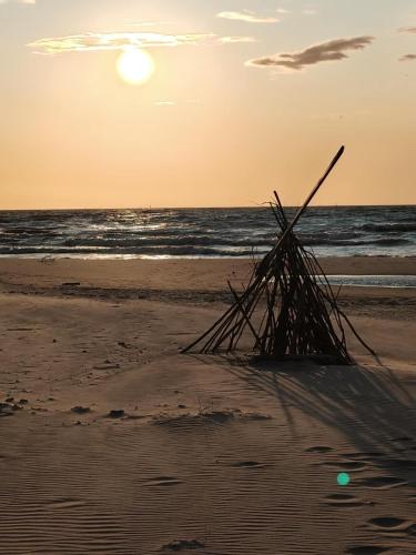Pokoje u SŁONIA