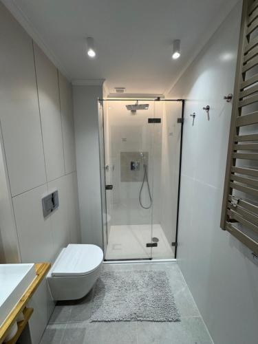 a white bathroom with a shower and a toilet at Apartament Helton Hel in Hel