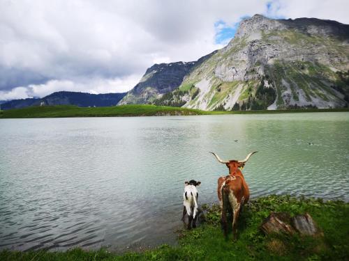 Un paisaje natural cerca de la posada