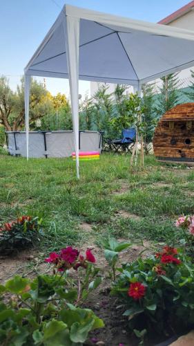 a white tent in a yard with flowers at "Olive & Bloom" entire vila with Pool & Private Parking in Berat