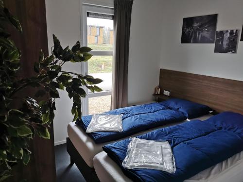 two beds with blue pillows in a room with a window at Marina Strandbad Chalet Aan het Oever mit Zaun Haus Nr 135 in Olburgen