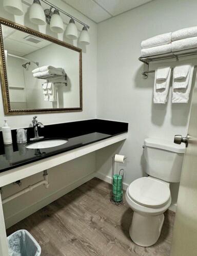 a bathroom with a sink and a toilet and a mirror at Heritage Hotel of Quincy in Quincy