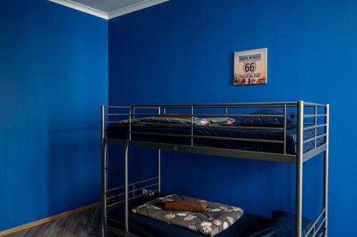 two bunk beds in a room with a blue wall at Hedgehogs backpackers hostel in Rīga