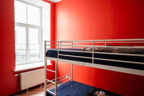 two bunk beds in a red room with a window at Hedgehogs backpackers hostel in Rīga