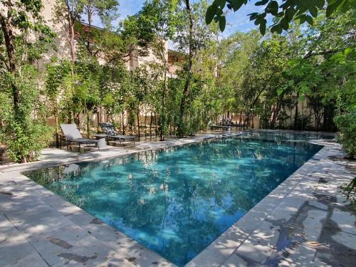 a swimming pool with blue water and trees at Villa with a private pool in Tulum
